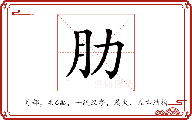 肋 肋