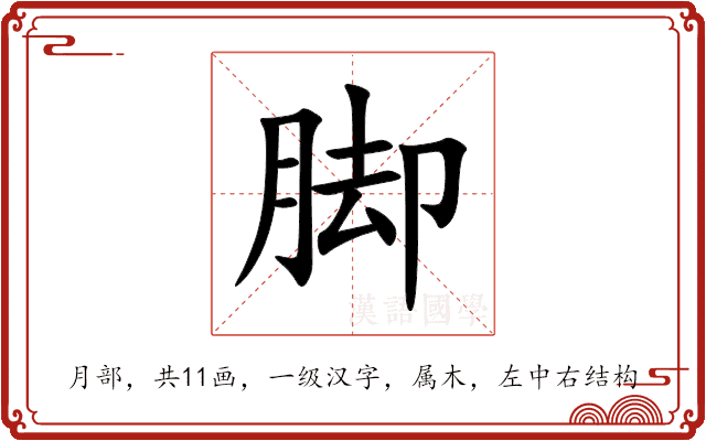 脚 脚