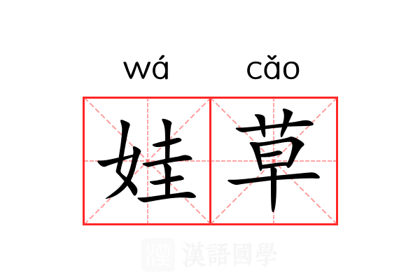 娃草 娃草