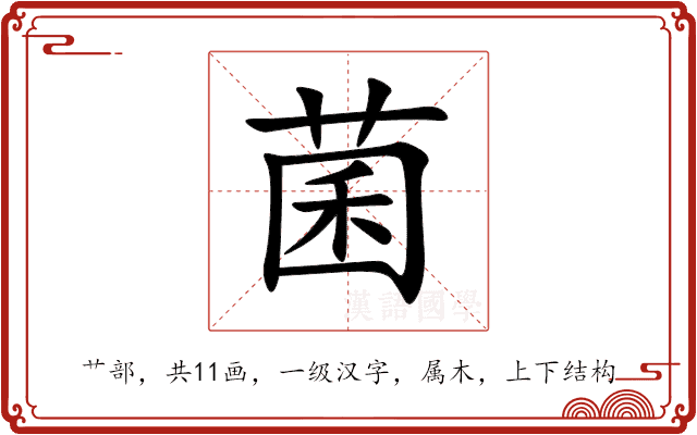 菌 菌