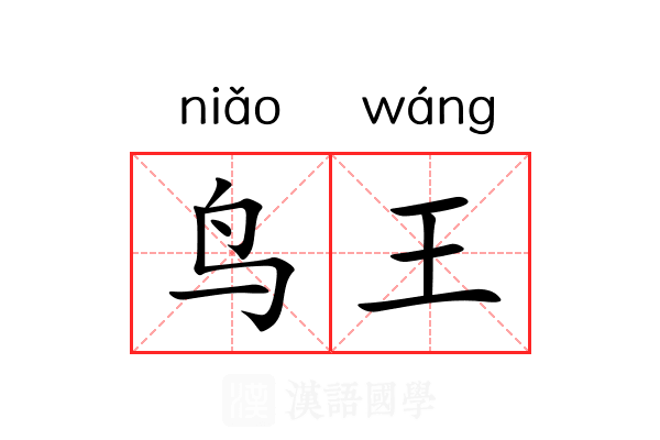 鸟王 鸟王