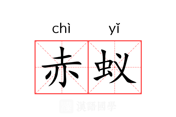 赤蚁
