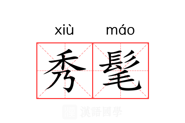 秀髦 秀髦