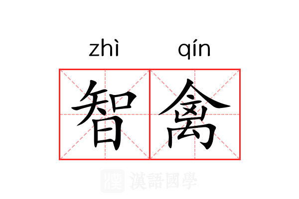 智禽