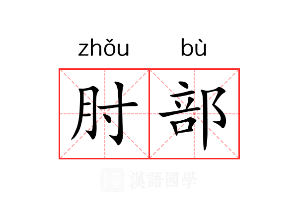 肘部 肘部