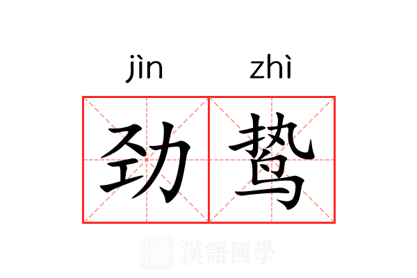 劲鸷