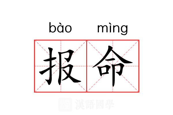 报命