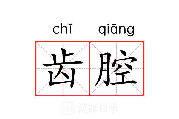 齿腔 齿腔