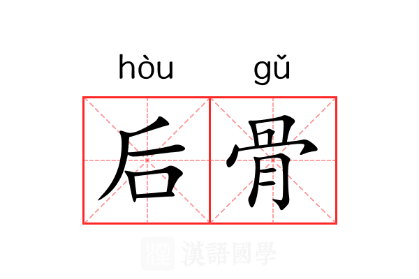 后骨