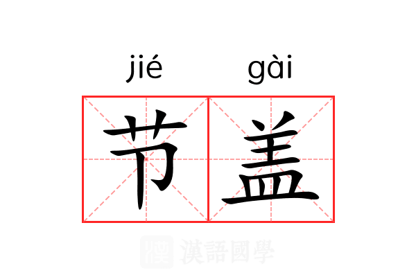 节盖 节盖