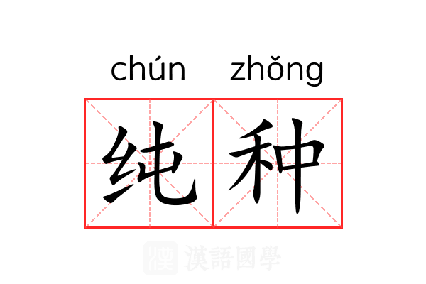 纯种