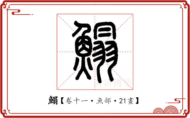 鰨 鰨