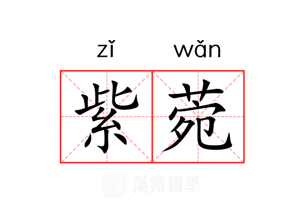 紫菀 紫菀