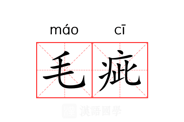 毛疵 毛疵