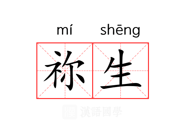 祢生 祢生