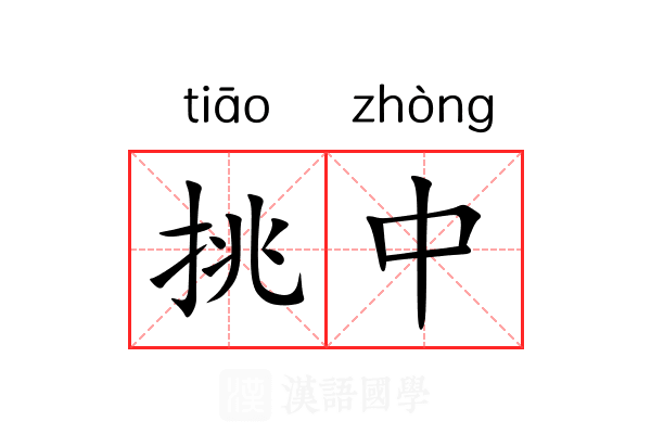 挑中