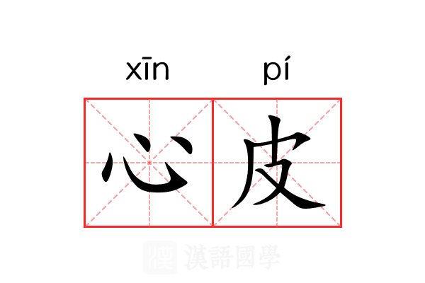 心皮 心皮