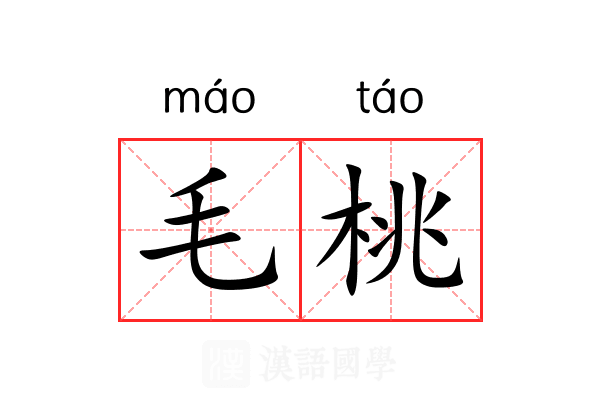 毛桃 毛桃