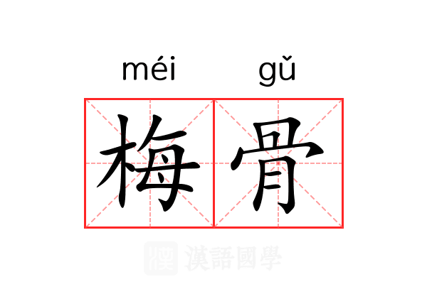 梅骨 梅骨