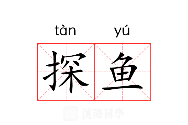 探鱼 探鱼