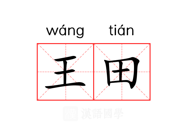 王田