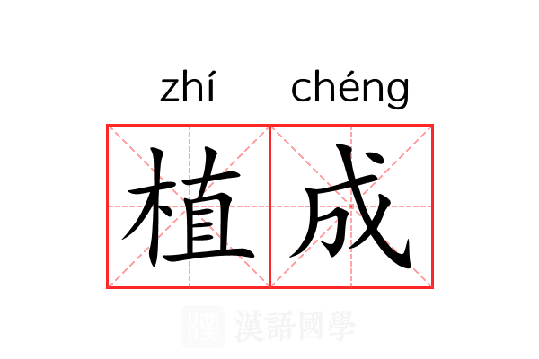 植成 植成