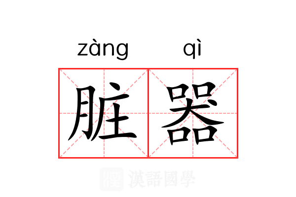 脏器