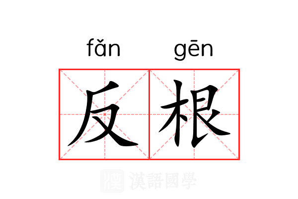 反根