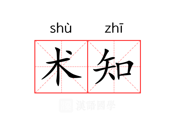 术知