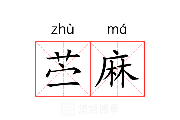 苎麻