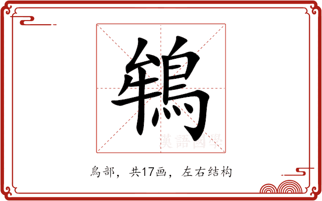 鴾 鴾