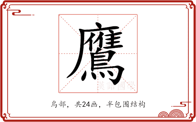 鷹 鷹