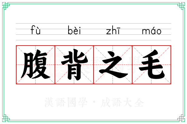 腹背之毛 腹背之毛