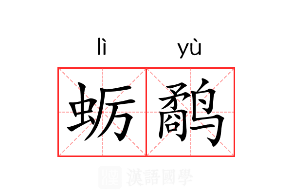 蛎鹬 蛎鹬