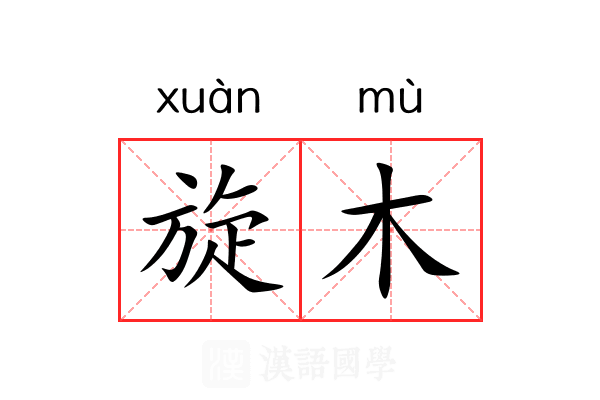旋木 旋木