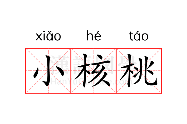 小核桃 小核桃