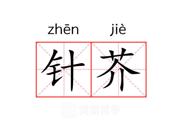 针芥 针芥