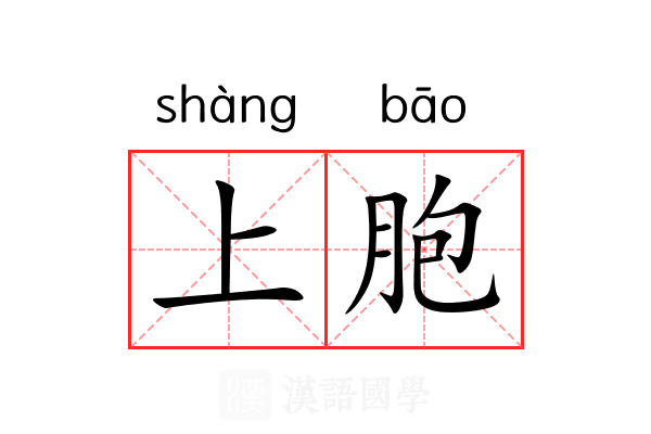 上胞