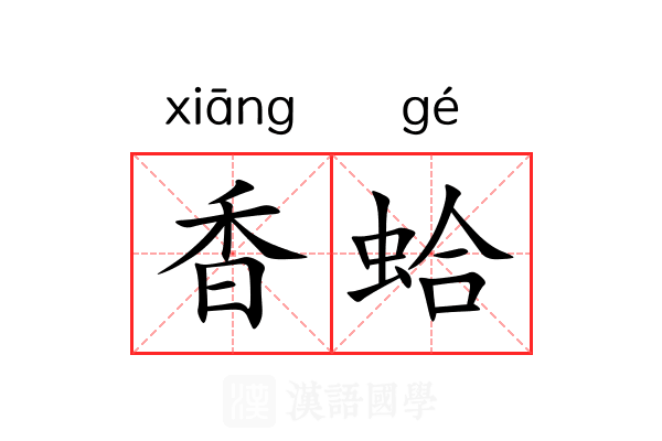香蛤 香蛤