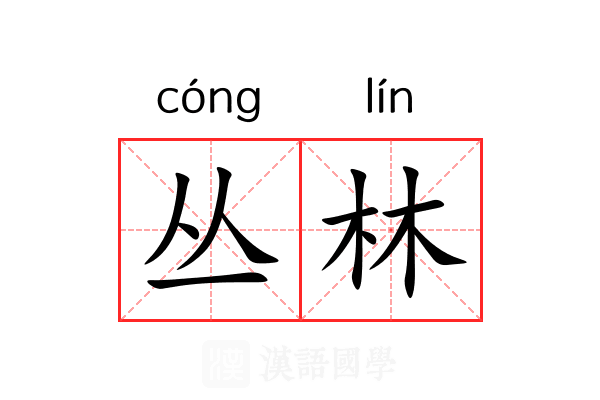 丛林