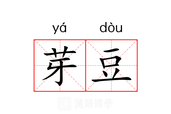 芽豆 芽豆