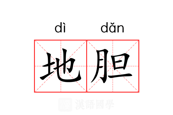地胆