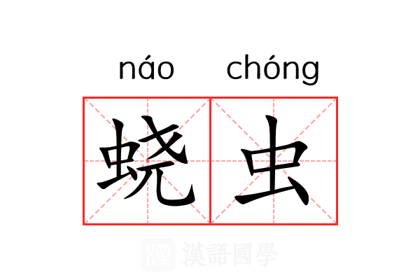 蛲虫 蛲虫