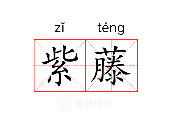 紫藤 紫藤