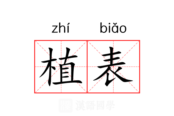 植表
