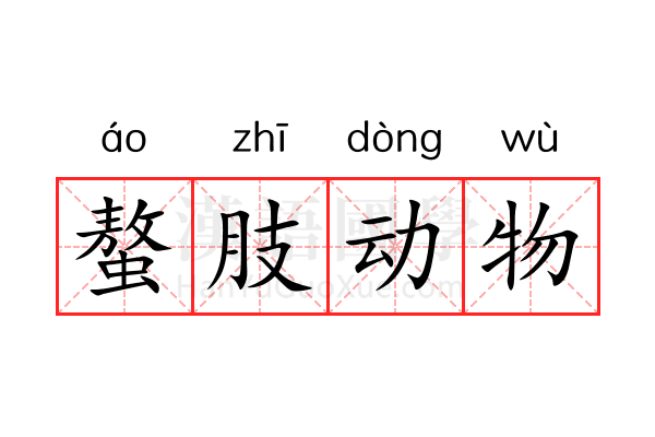 螯肢动物 螯肢动物