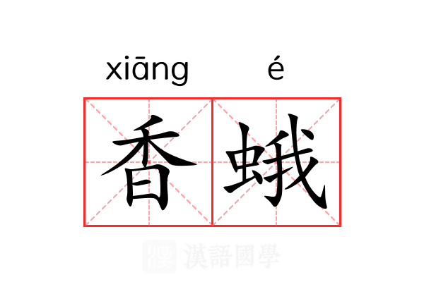 香蛾 香蛾