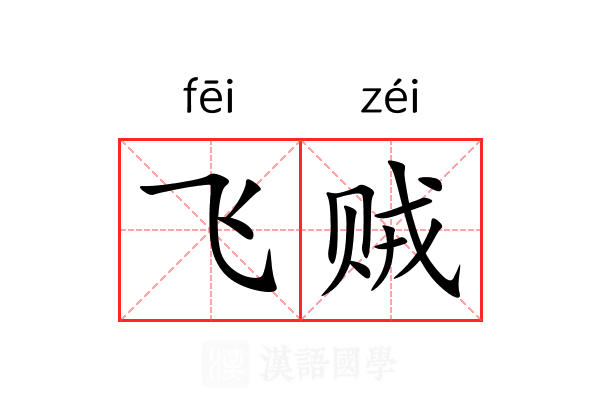 飞贼 飞贼