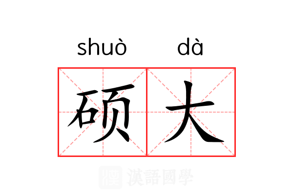 硕大 硕大