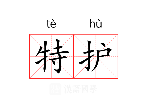 特护